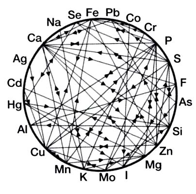 Dynamic Balance – Iodine, Selenium, Iron, Copper, Zinc, Calcium & Magnesium