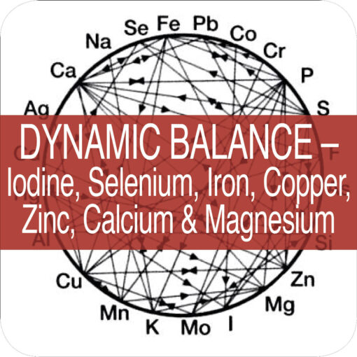 Dynamic Balance – Iodine, Selenium, Iron, Copper, Zinc, Calcium & Magnesium (7hrs Audio & Notes)