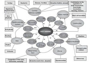histamine-intolerance-flow-chart