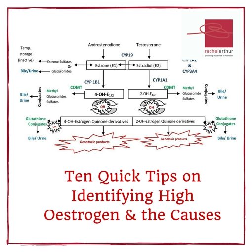 Ten Quick Tips for Identifying High Oestrogen & its Causes