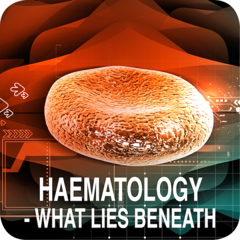 Haematology – What Lies Beneath