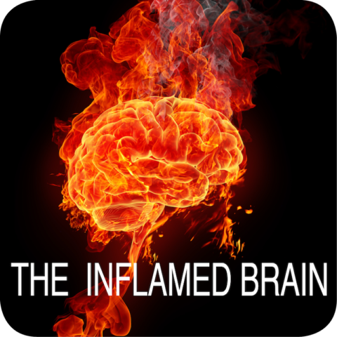 The Inflamed Brain (1 hour audio + notes)