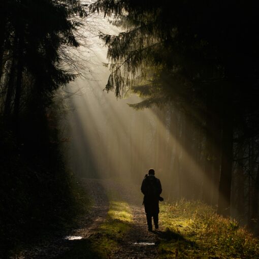 Walk Towards The Light!