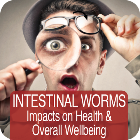 Intestinal Worms – Impacts on Health and Overall Wellbeing (1hr Video)