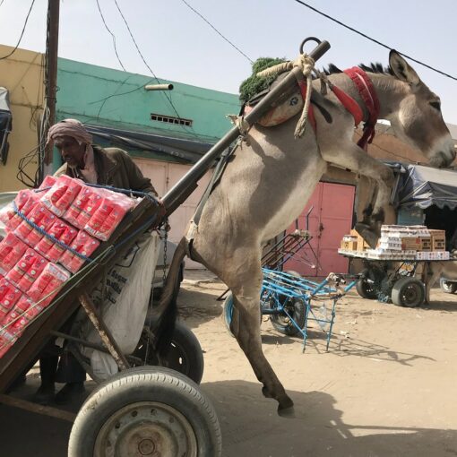 Over-Delivering Donkey