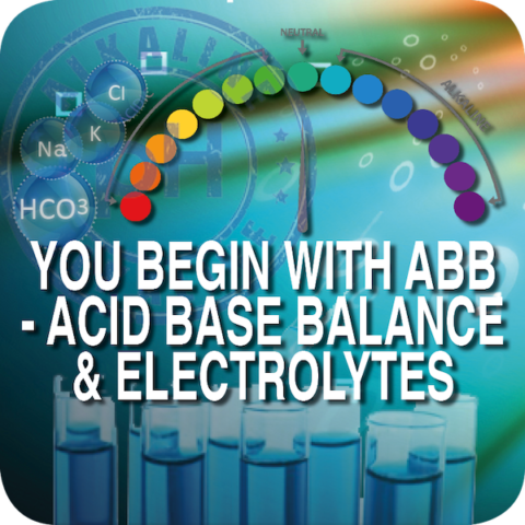 MasterCourse SESSION 1: Acid Base Balance & Electrolytes