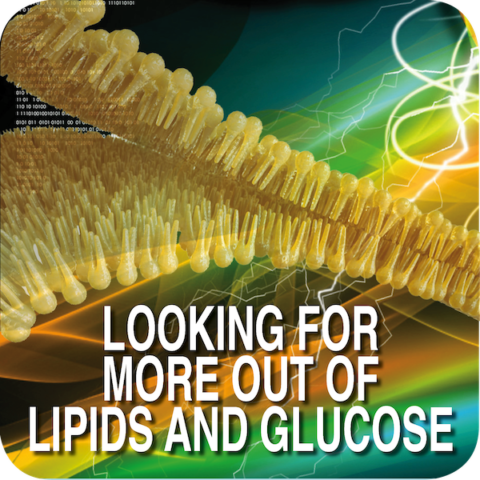 MasterCourse SESSION 4: Lipids & Glucose