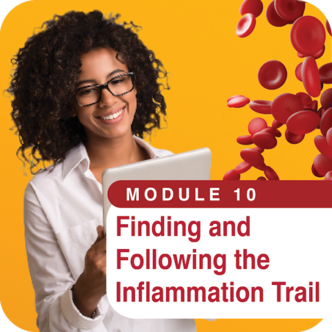 Student Pathology Hub MODULE 10: Finding and Following the Information Trail