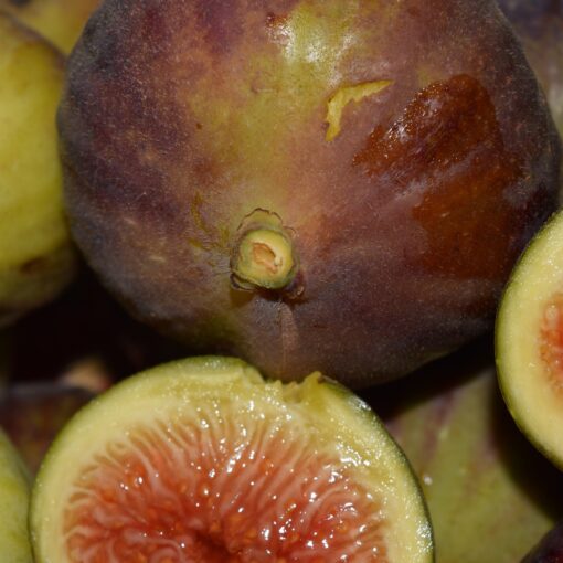 The Fig Fix for Potassium Goals?