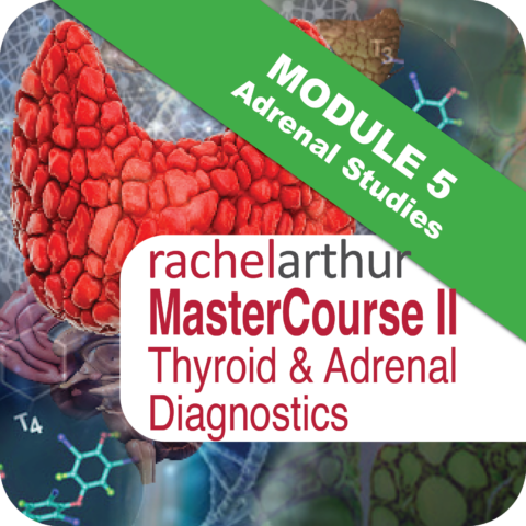MasterCourse II: Module 5 ‘Adrenal Studies’ & Our Attempts to Address Stress