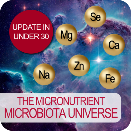 Update in Under 30: The Micronutrient Microbiota Universe