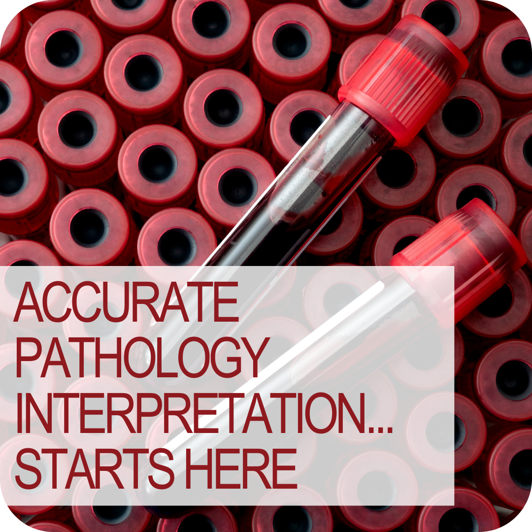 Accurate Pathology Interpretation Starts Here 2.0