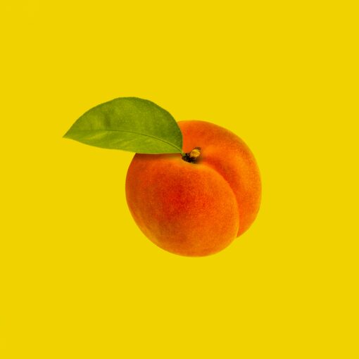 The Hooha Health Revival: Time to take a look under the bonnet 🍑