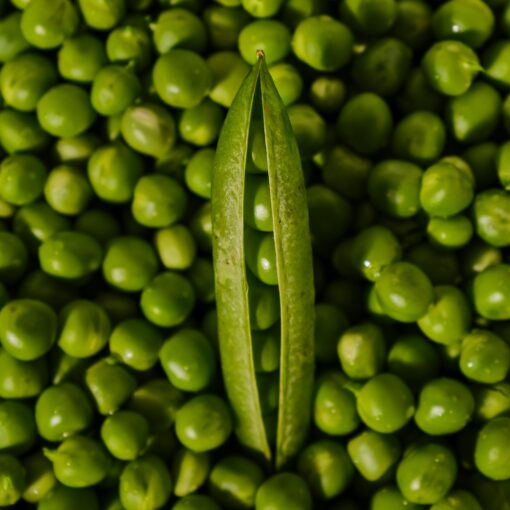 Novel Iron Options – But Which Form When?